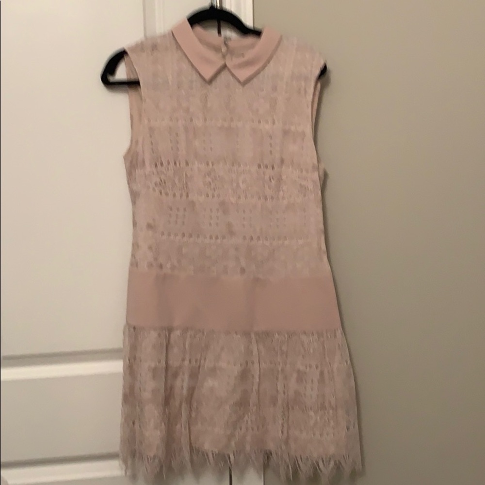 Bcbg  blush lace dress